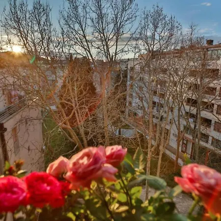 Bel Canto 스플리트